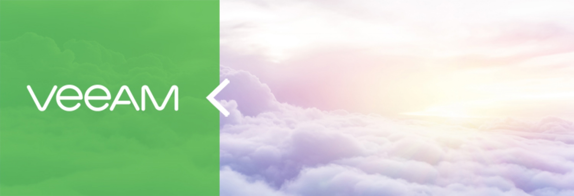 Veeam:  Error: Object reference not set to an instance of an object.  - Hatası Çözümü