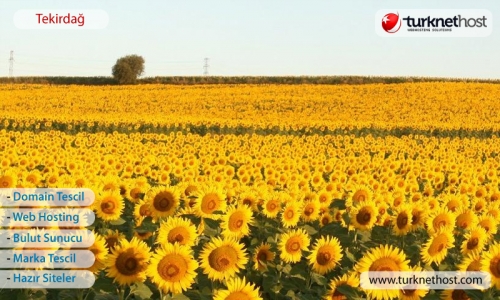 Tekirdağ Hosting