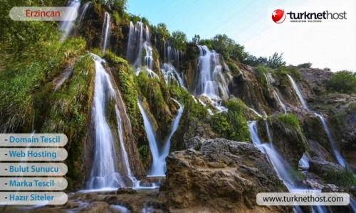 Erzincan Domain Tescil