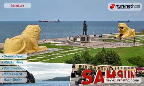 Samsun Domain Tescil