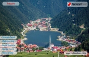  Trabzon Domain Tescil