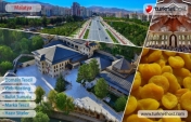 Malatya Domain Tescil