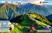 Rize Domain Tescil